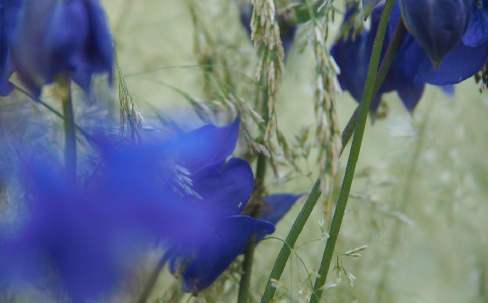 Christof Sandt - Freiraum- und Gartenplanung